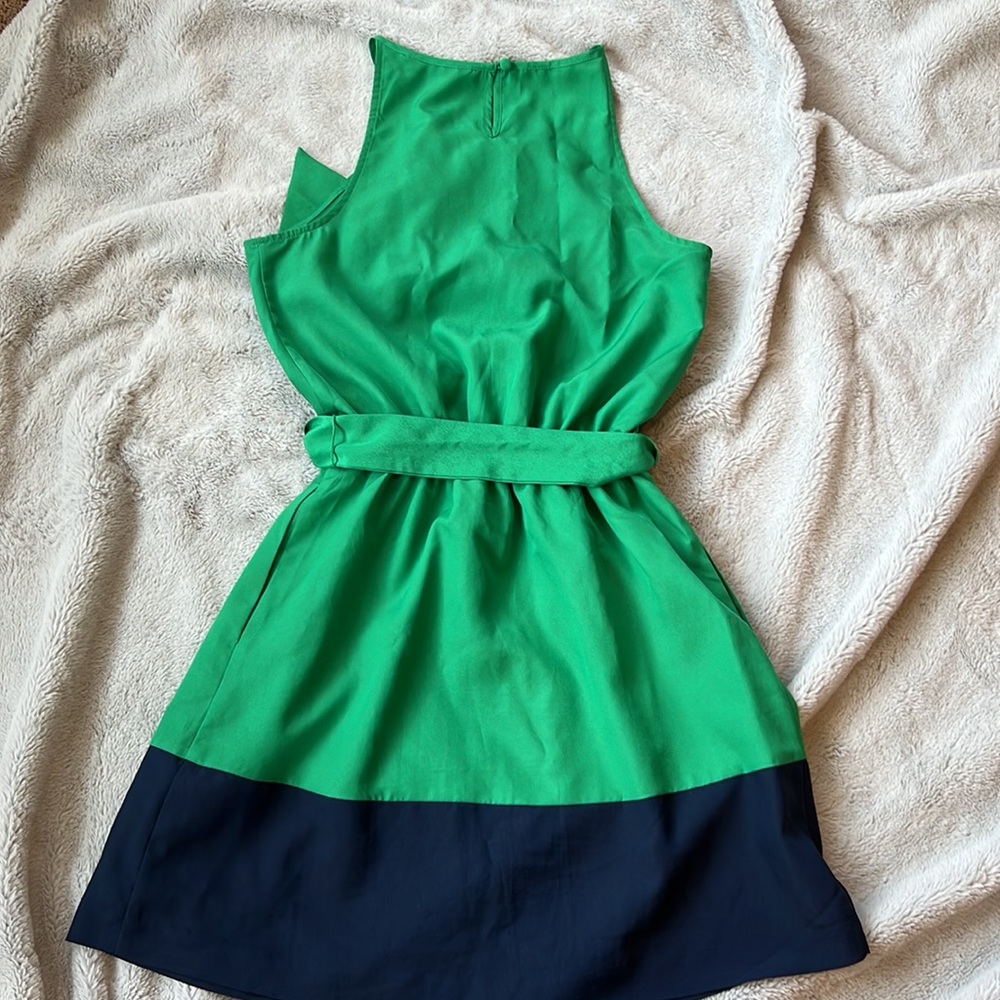 Express Dress - Picture 3 of 6